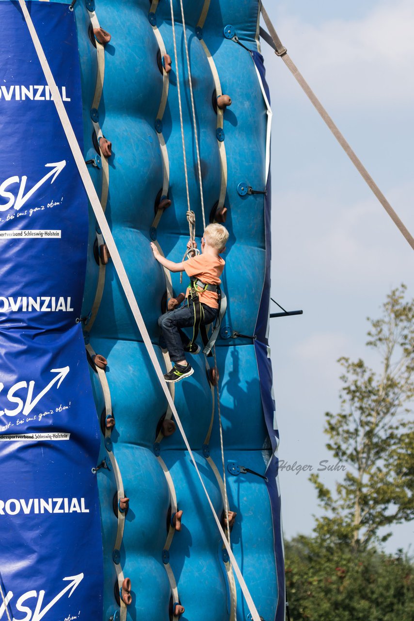 Bild 437 - Vogelschiessen